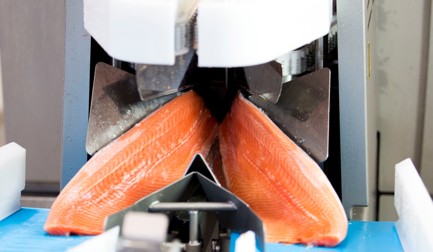Solution de process de filetage du saumon