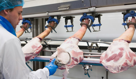 Embracing innovation: the top 5 trends shaping pork cutting and deboning