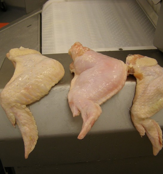 injecting-poultry.jpg