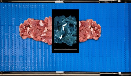 7 ways SensorX Magna revolutionizes the meat inspection process