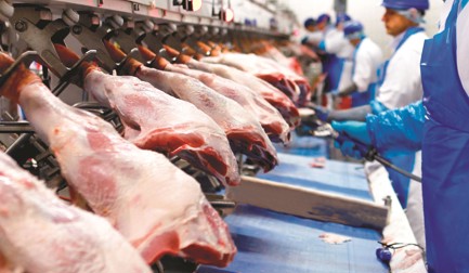 Um passo à frente no setor Brasileiro de carne suína