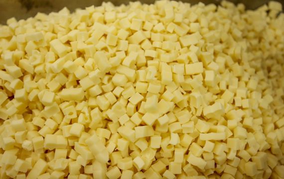 CASAN for industrial cheese dices and cubes