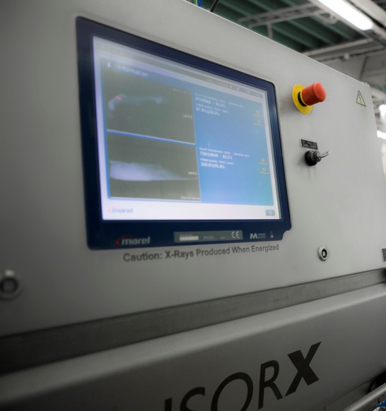Sensorx X ray bone detection for whitefish