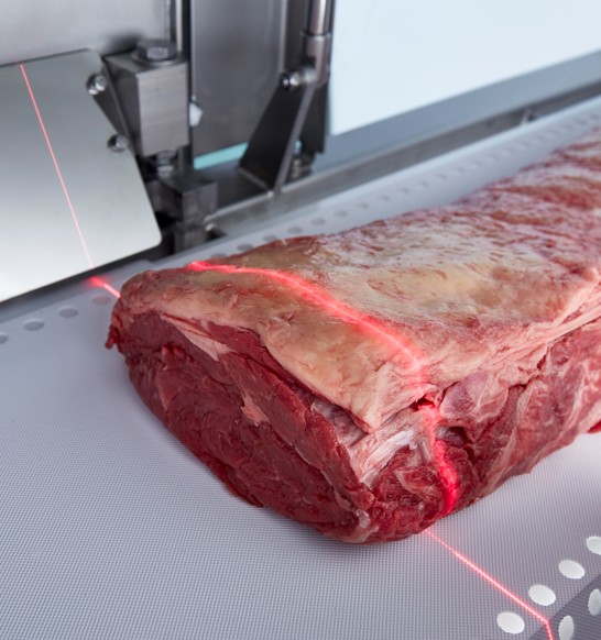 Marel meat cutting machine I-Cut 130
