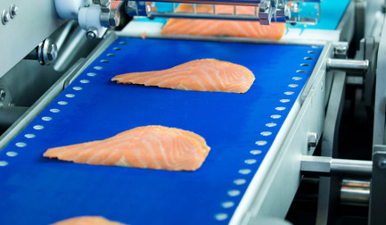 Solution de process de tranchage de saumon