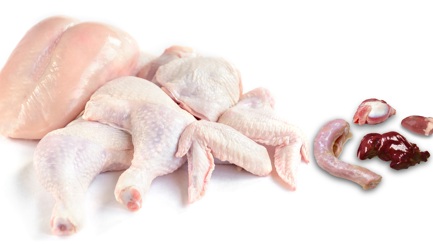 El equilibrio de la carcasa: un reto clave para la industria avícola