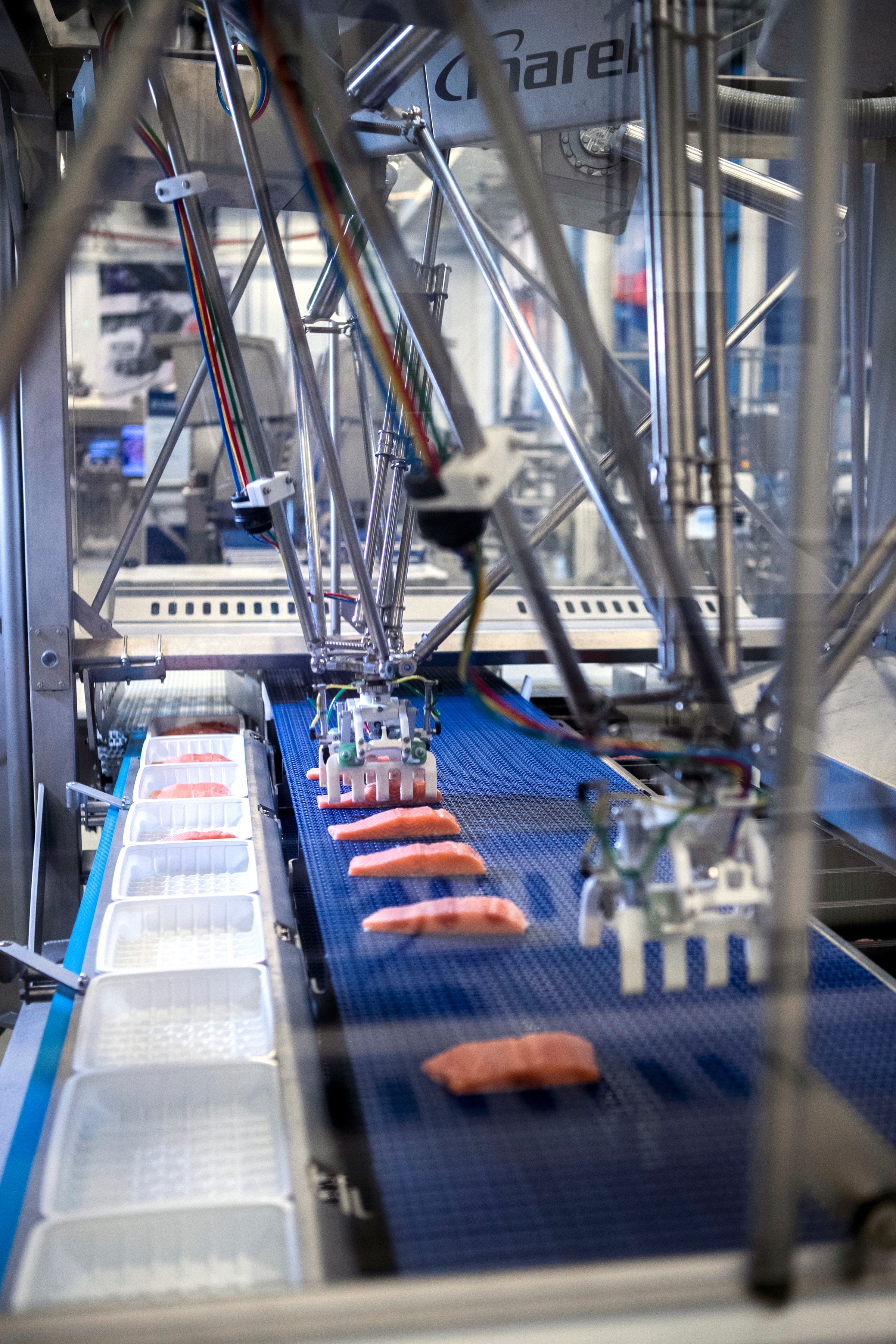 The benefits of agility in fish processing 