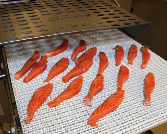 Stripcutter Salmon Strips