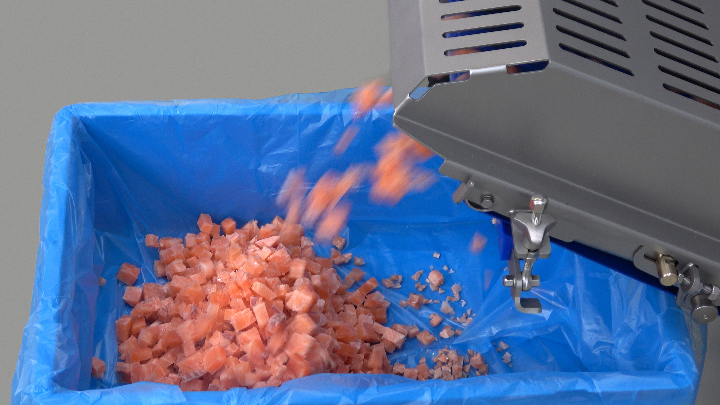 TREIF Dicing Fish Salmon Outfeed