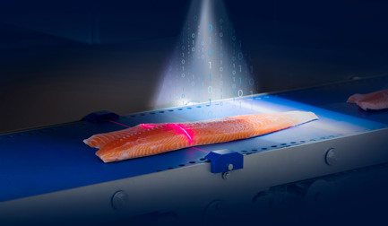 Who cares about yield? Salmon processors making every gram count