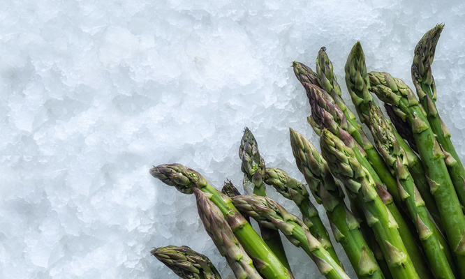 MAJA Ice for asparagus