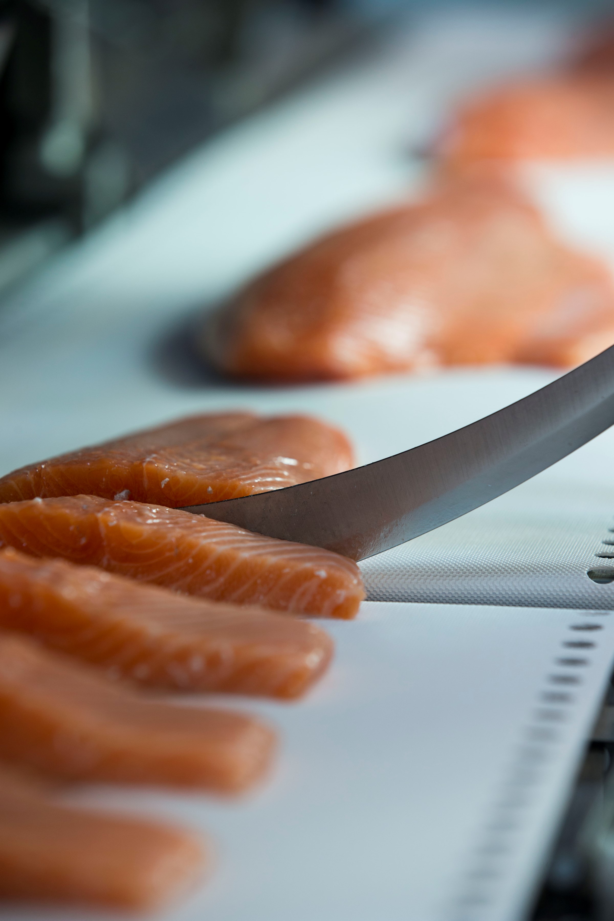 Salmon_portion cutting.jpg