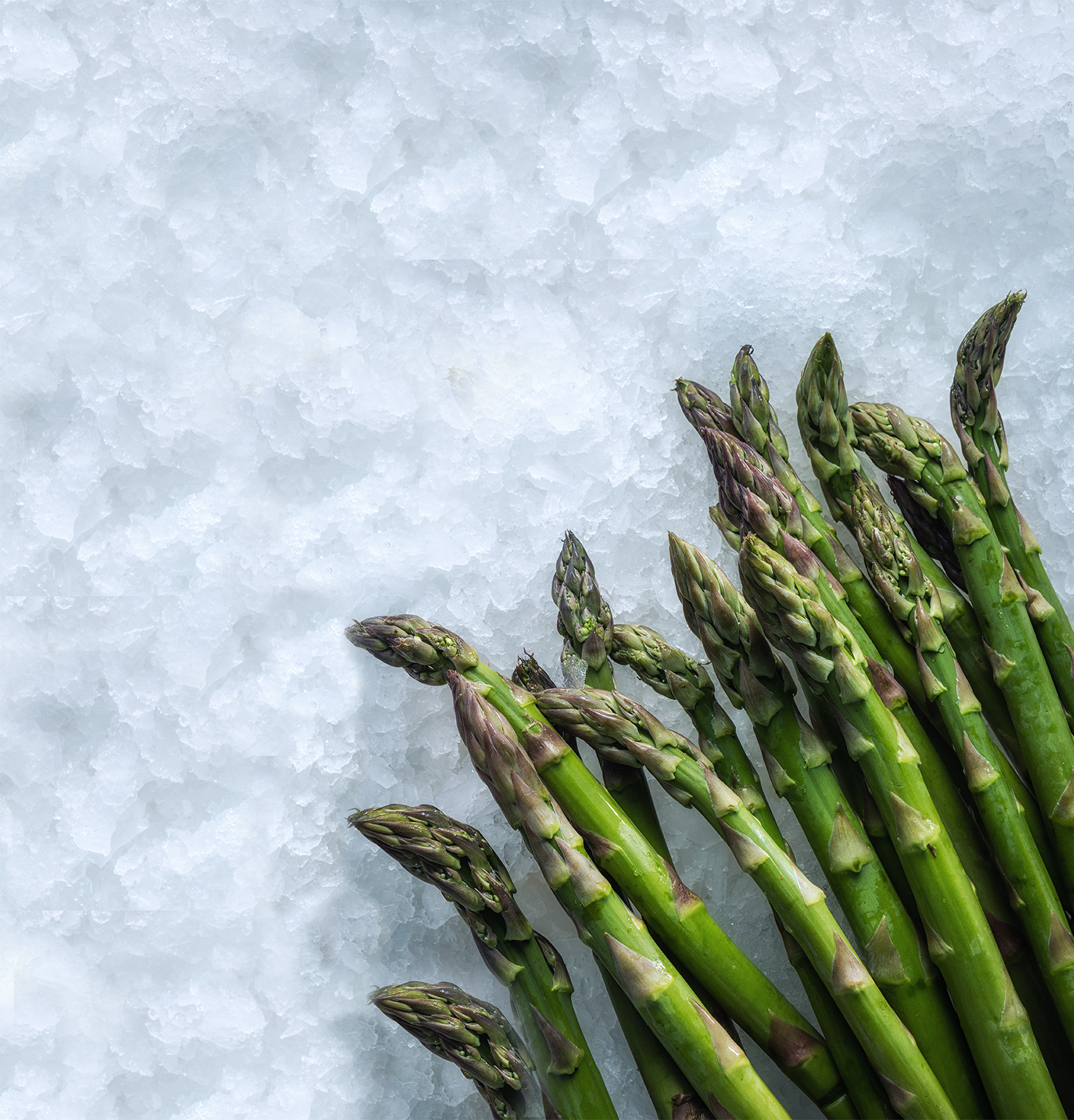 MAJA Ice keeps asparagus fresh